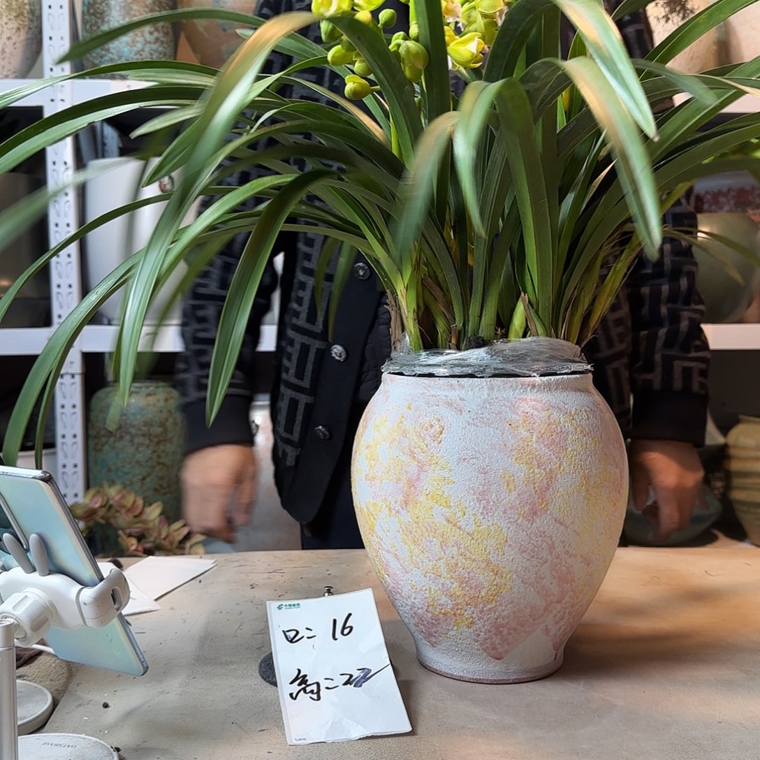 16@22 紫砂花盆尺寸