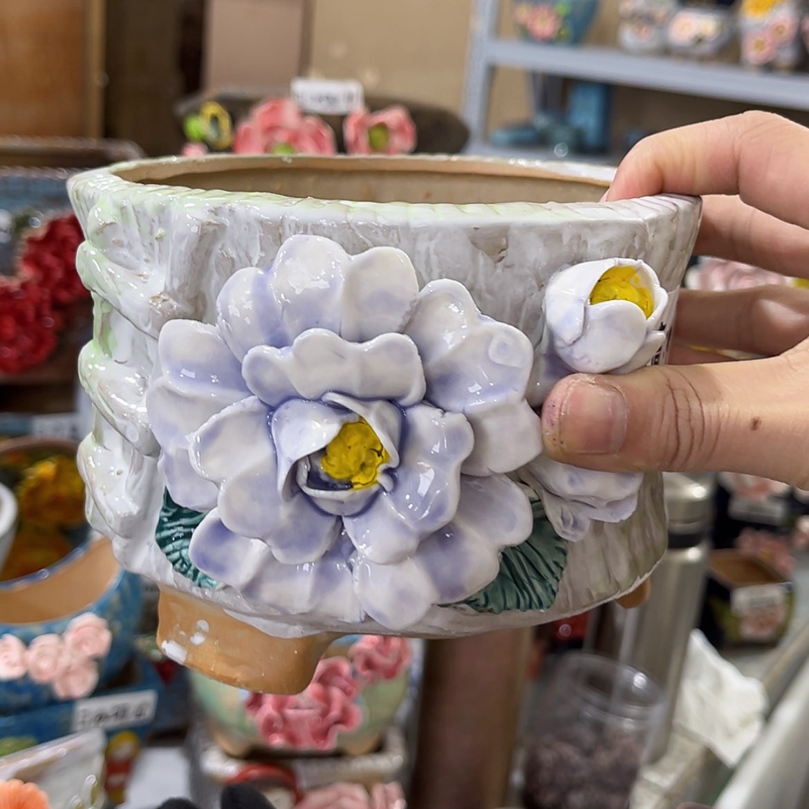 【闪购商品】红陶福利