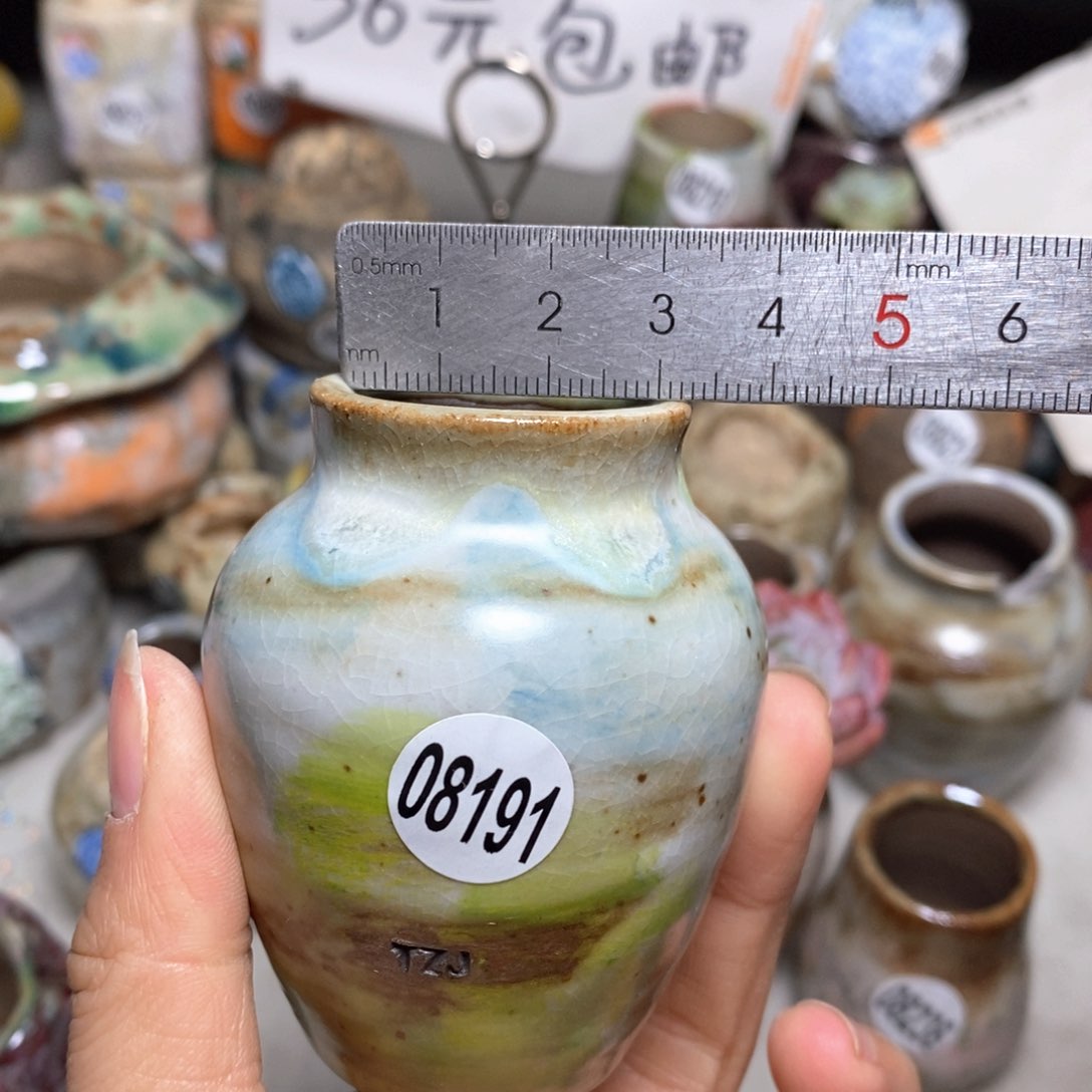 花盆拍5送一个小礼物