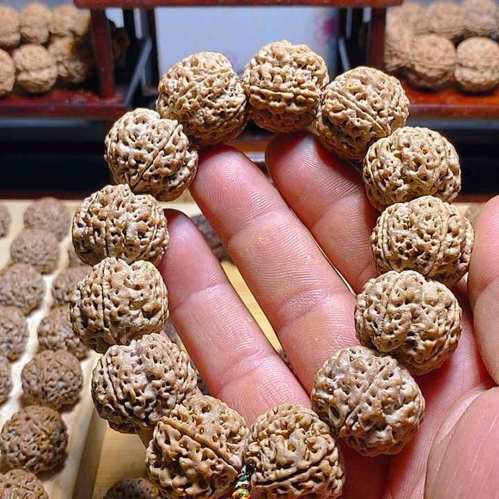 金刚菩提手串古龙梅花