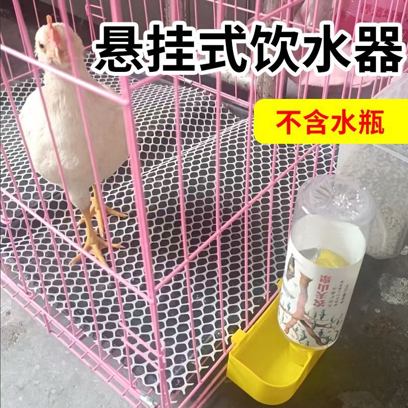 鸽子饮水盒挂式设计小鸟饮水器自动养殖水槽鹦鹉食盒