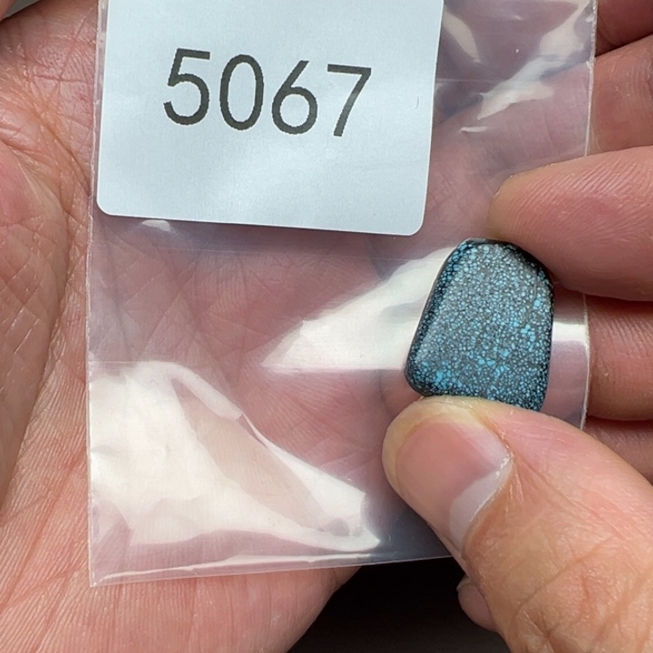 菩提根/象牙果手串