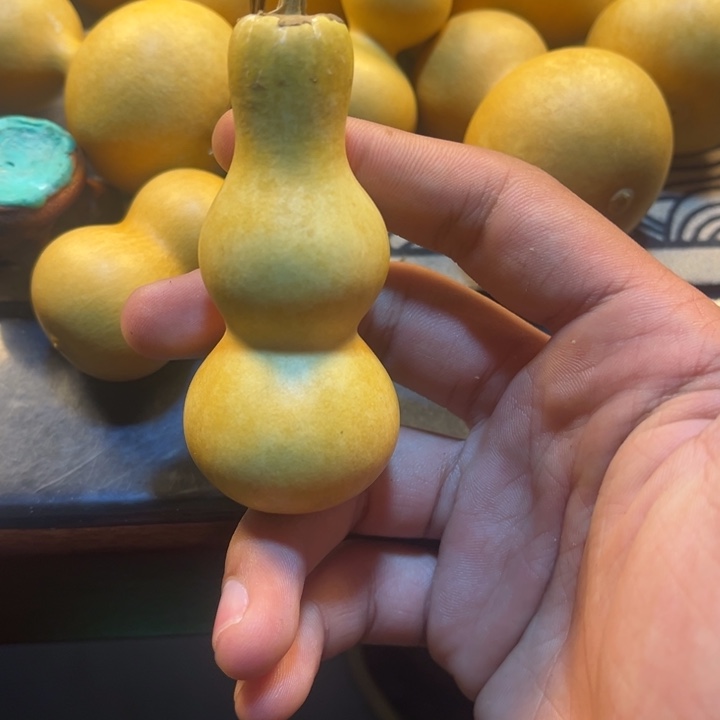 葫芦葫芦葫芦葫芦