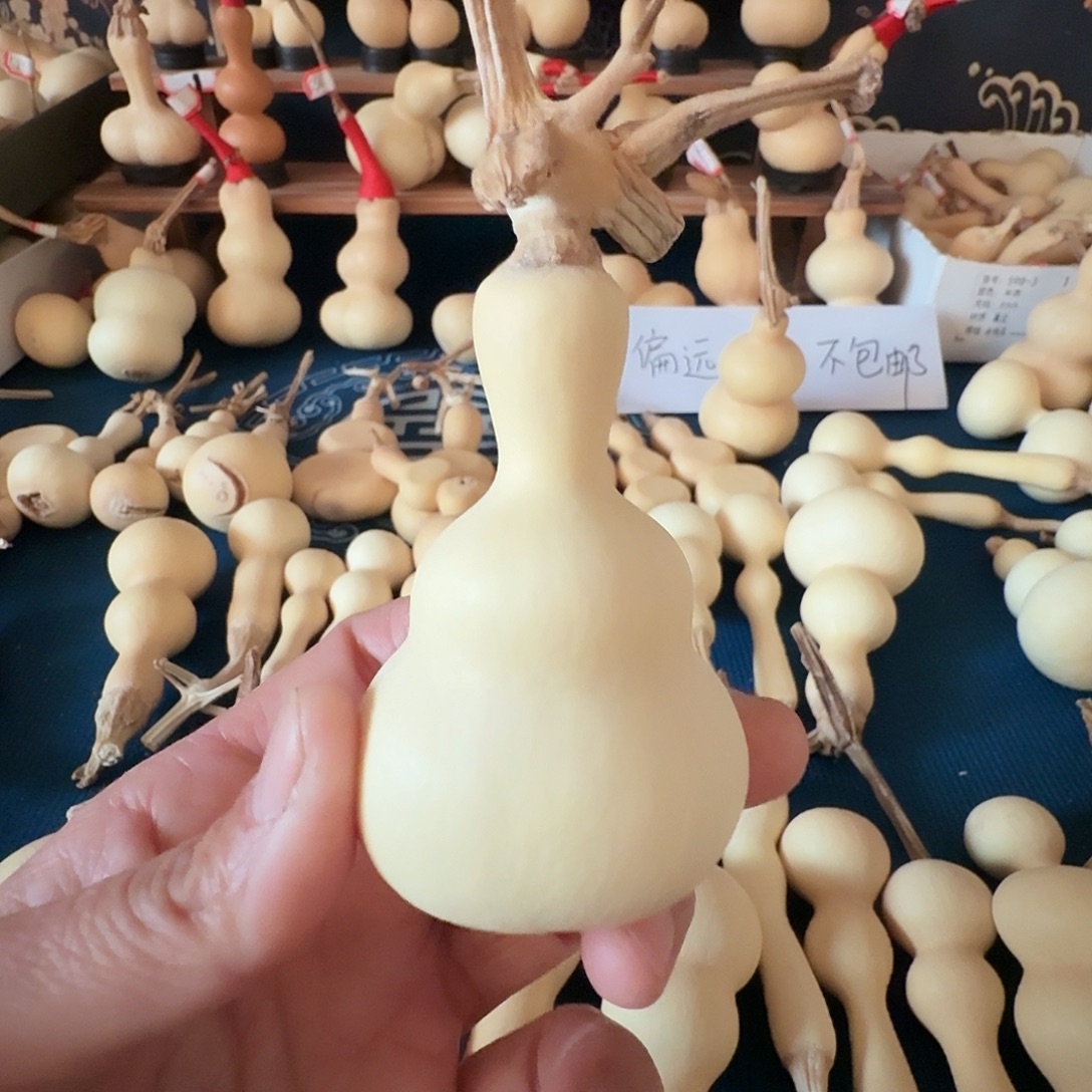 紫光檀葫芦根一包就能解决所有