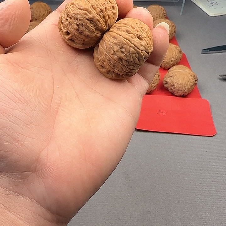 桃核把件开**?铁锤妹妹