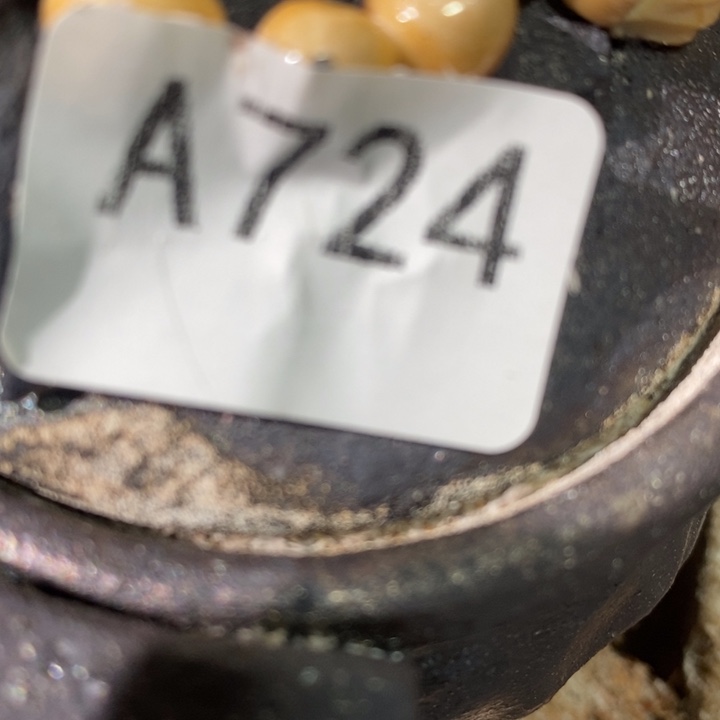 侯***飞柴烧裸烧纯手工工艺制作瑕疵瑕疵