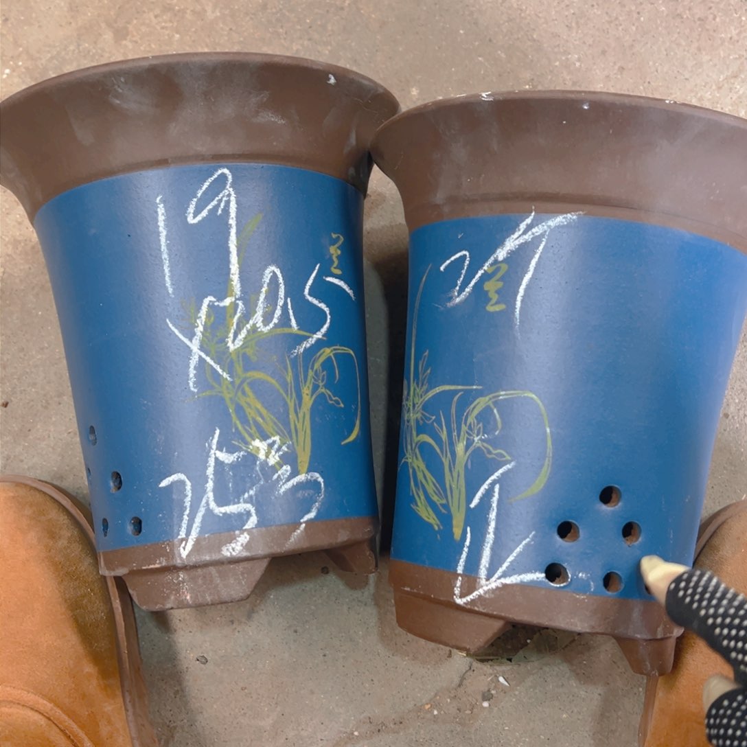 紫砂25………………………………………………