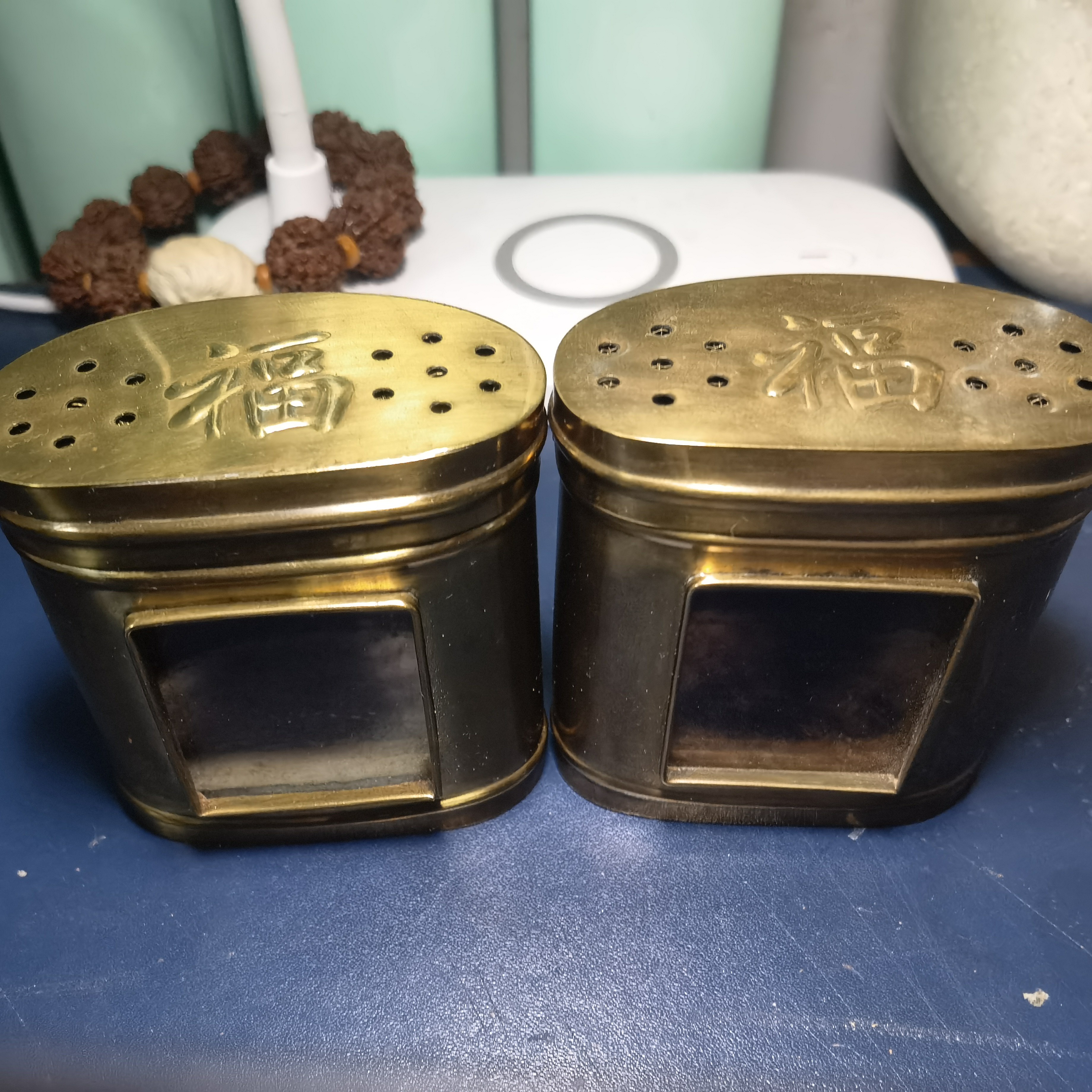 黄拉子性价比高适合饲养黑虫