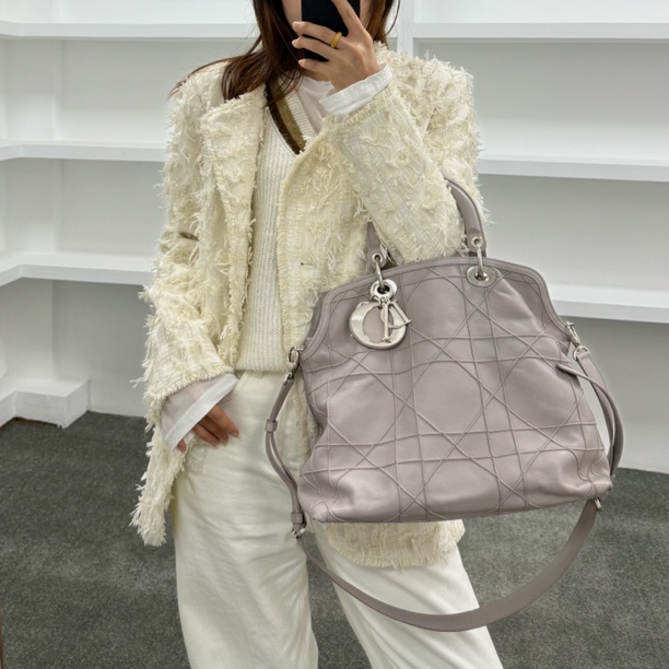 95新 DIOR/迪奥 藤格纹托特/ss3680