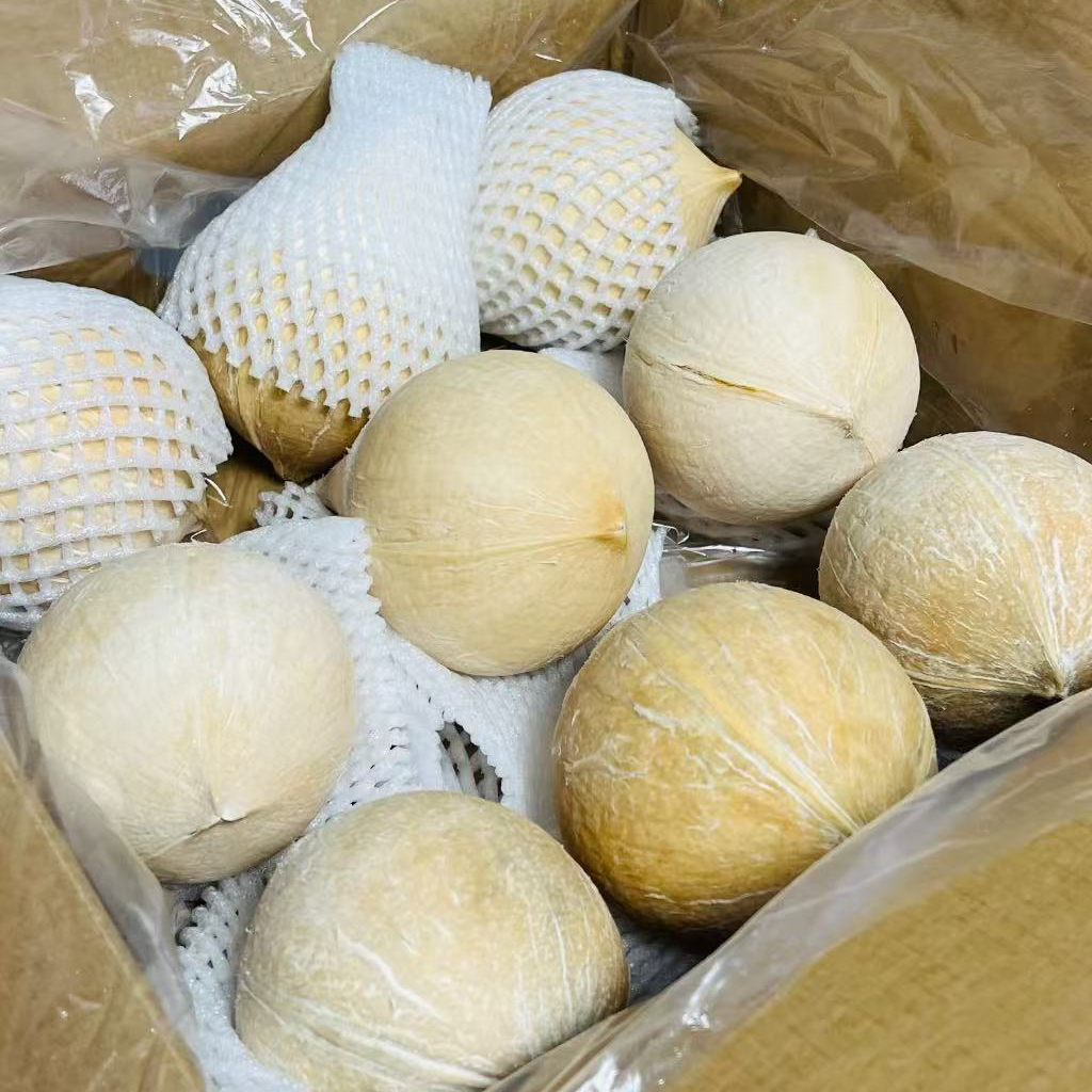 泰国进口小奶椰皇9枚装；丹嫩沙多香水椰，煲鸡汤老椰子，孕妇新鲜水果包邮椰子