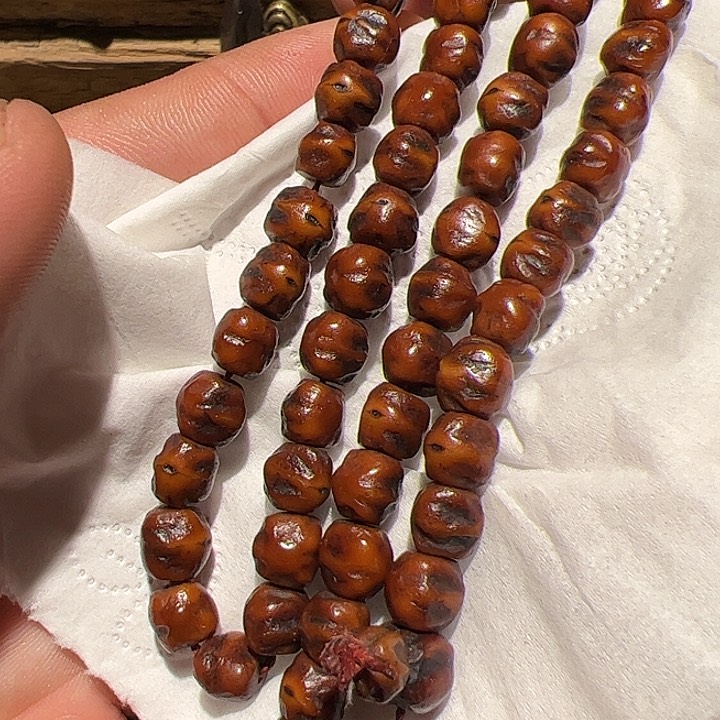 香榧木你的时候你