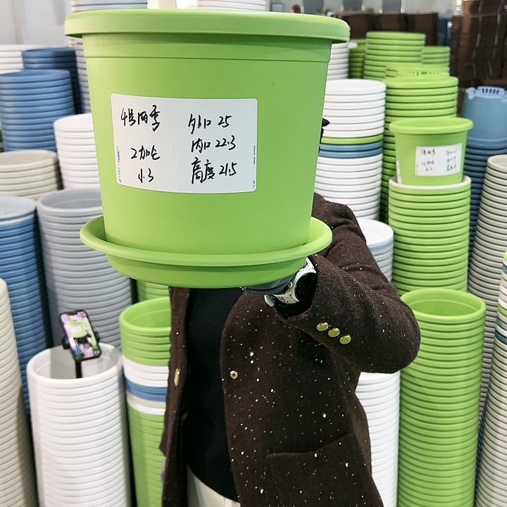 特价4号四季口25高21.5果绿带托5只