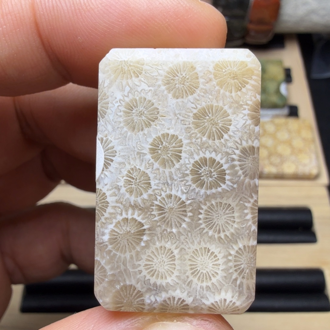 硅化玉未镶嵌纯天然色有机玉石保真色