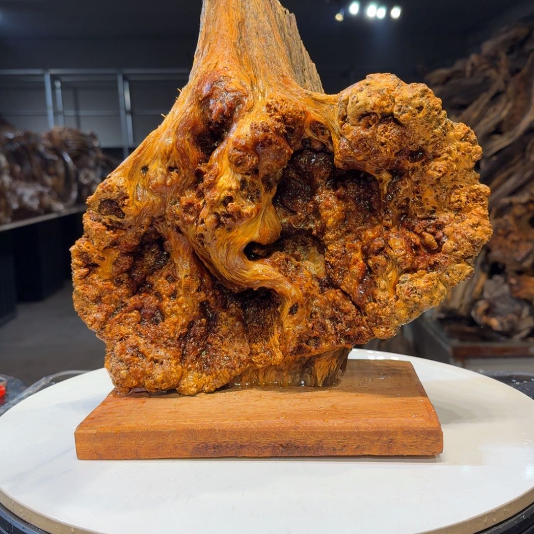 木九****匙王一刀琥珀木62