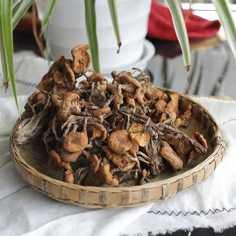 【百村千人】四川纯野生青杠菌晒干食用菌菇干货特产