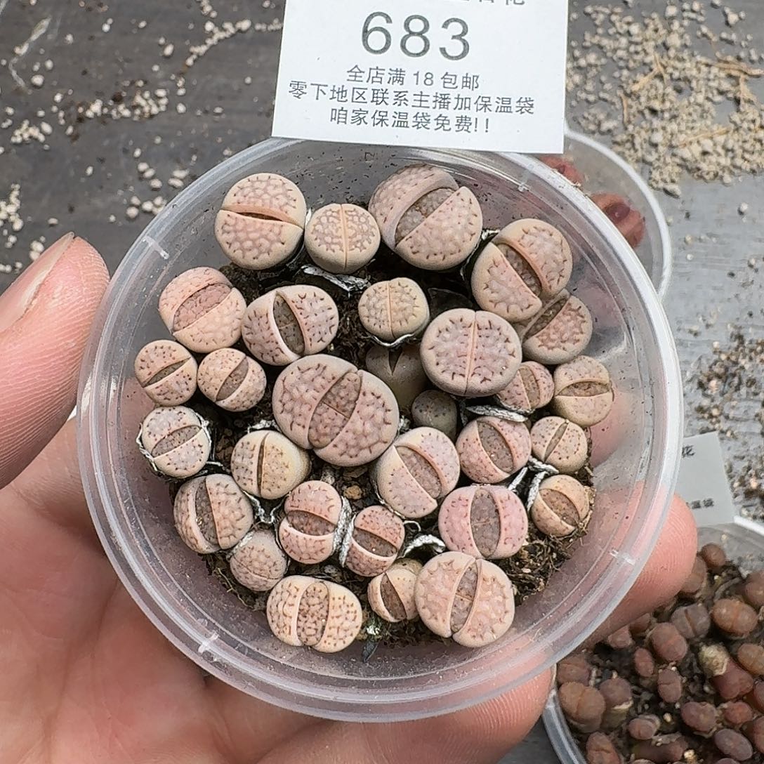 683满18 包邮保温袋联系客服