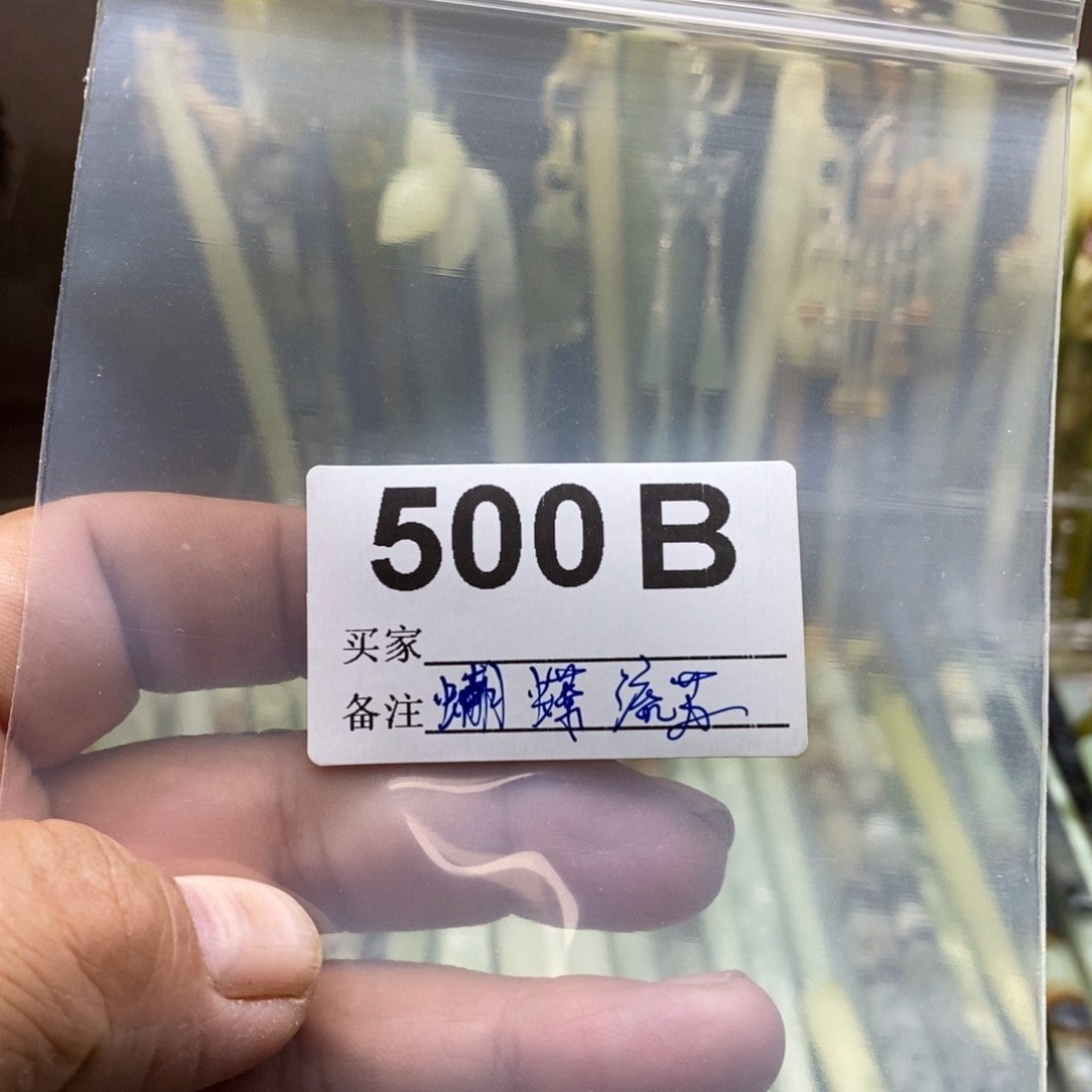 透闪石-蛇纹石玉发饰未镶嵌牛***?