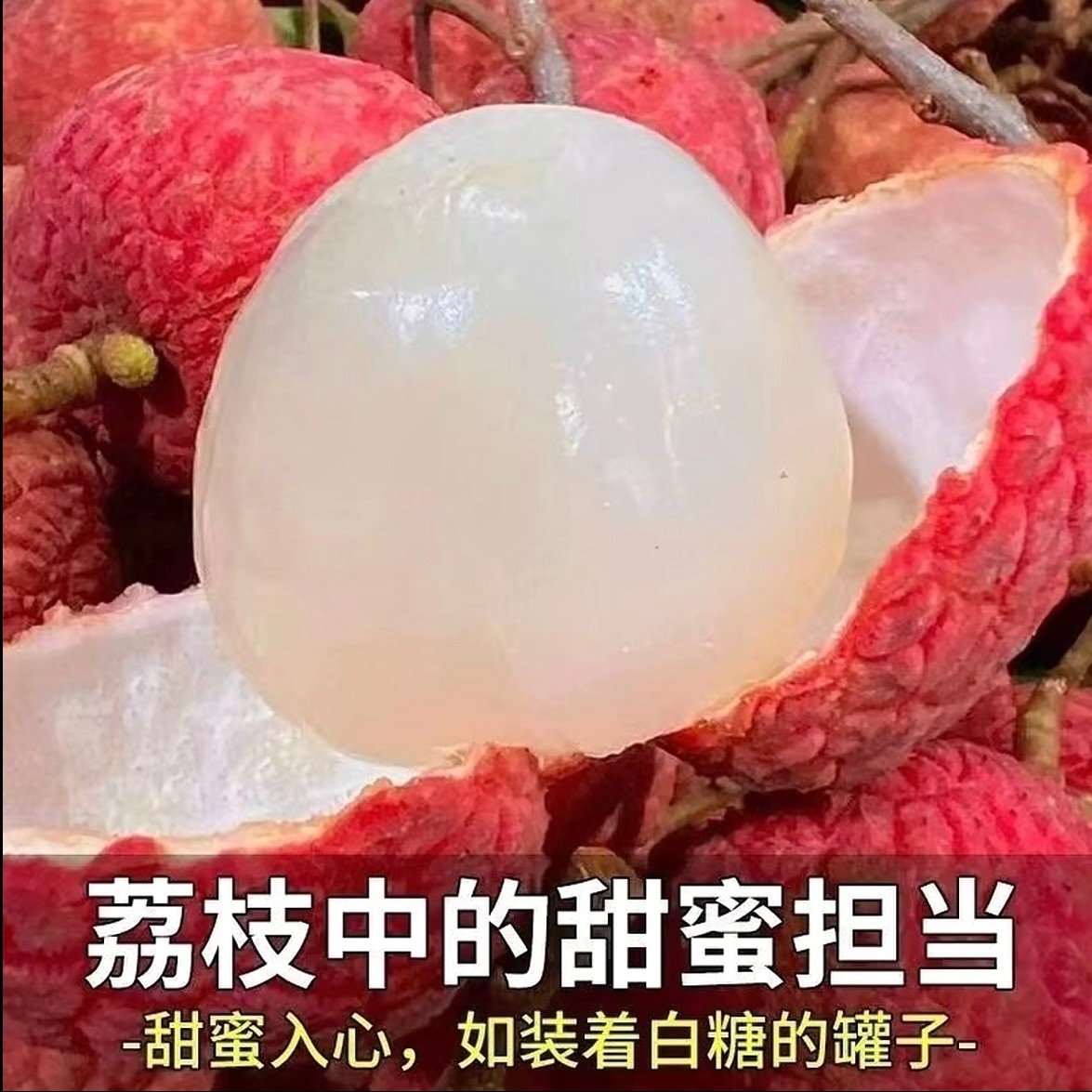 当季现摘白糖罂荔枝香甜可口 皮薄肉厚 冷链发货