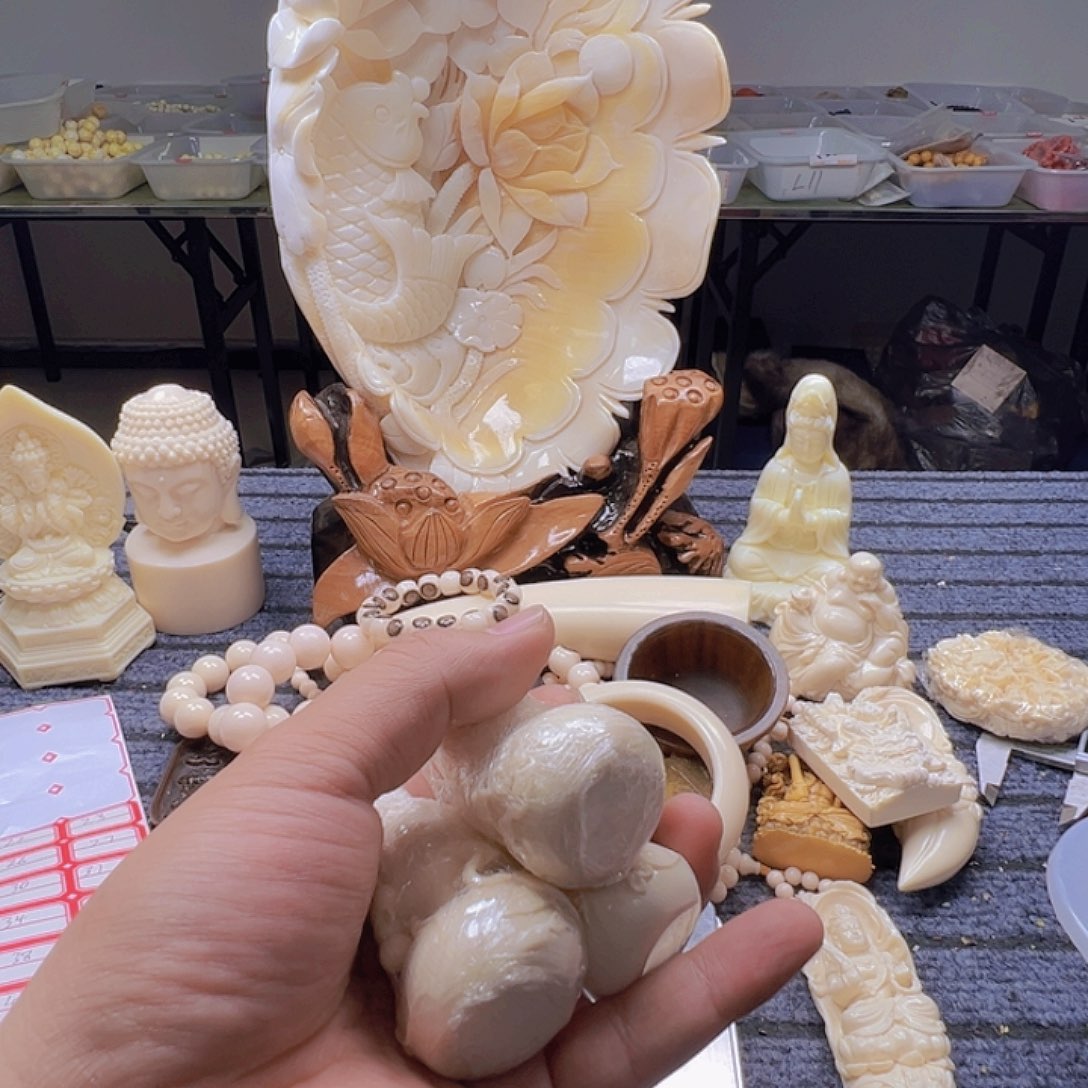 布***衣大果紫檀（缅甸花梨）22