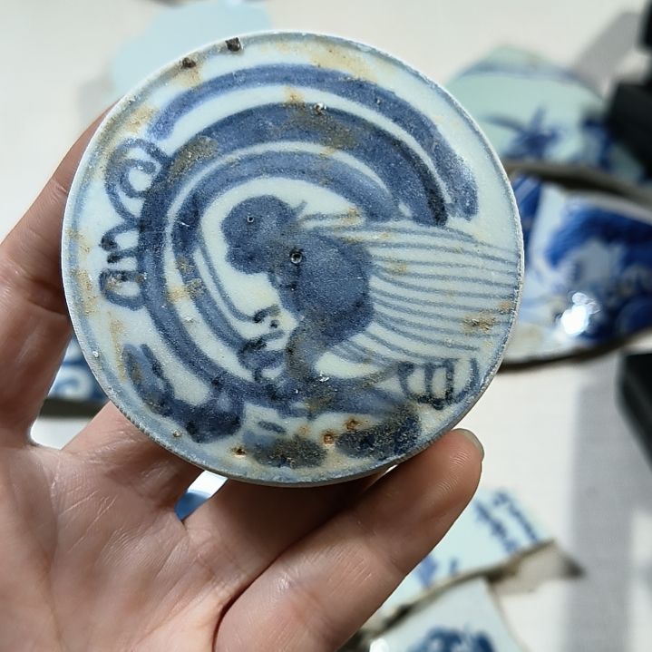 瓷片瓷片瓷片瓷片瓷片