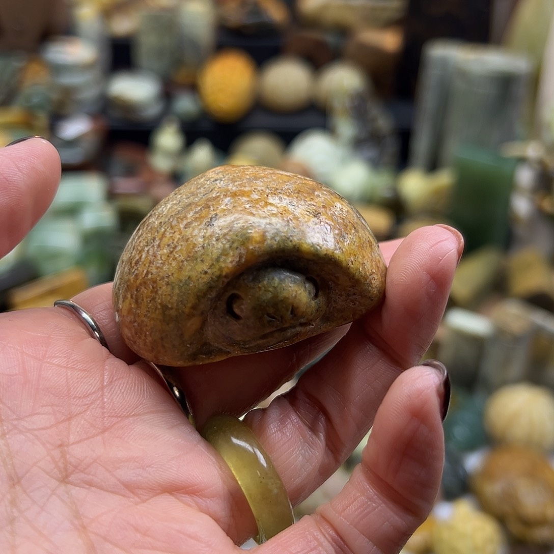 小***草岫岩河磨玉（透闪石质玉）未镶嵌颈饰河磨玉乌龟