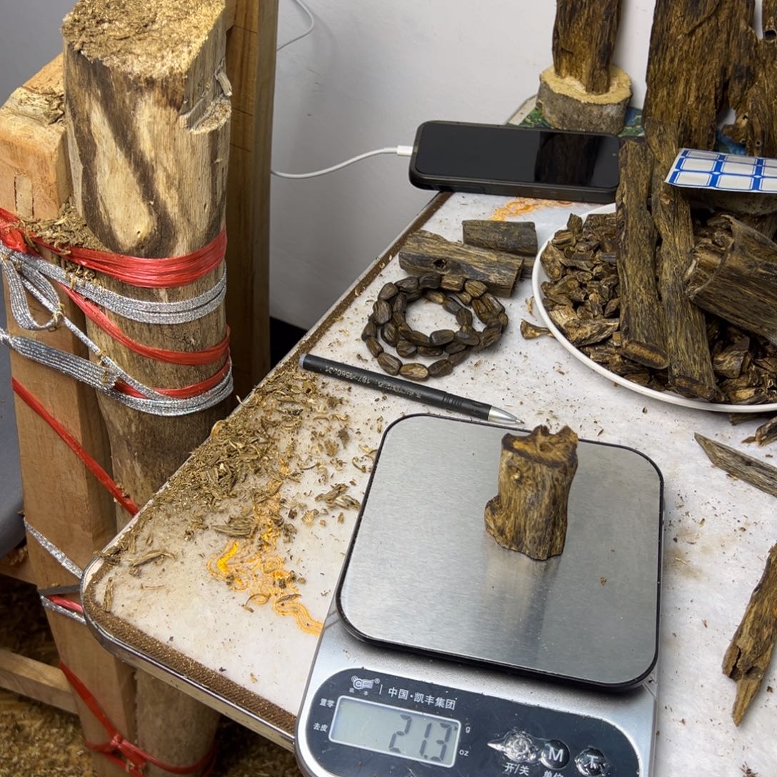 线香奇楠虫漏香21克