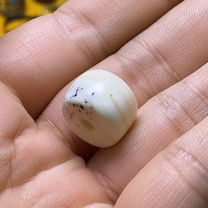 贝壳吊坠贝壳珠贝壳珠