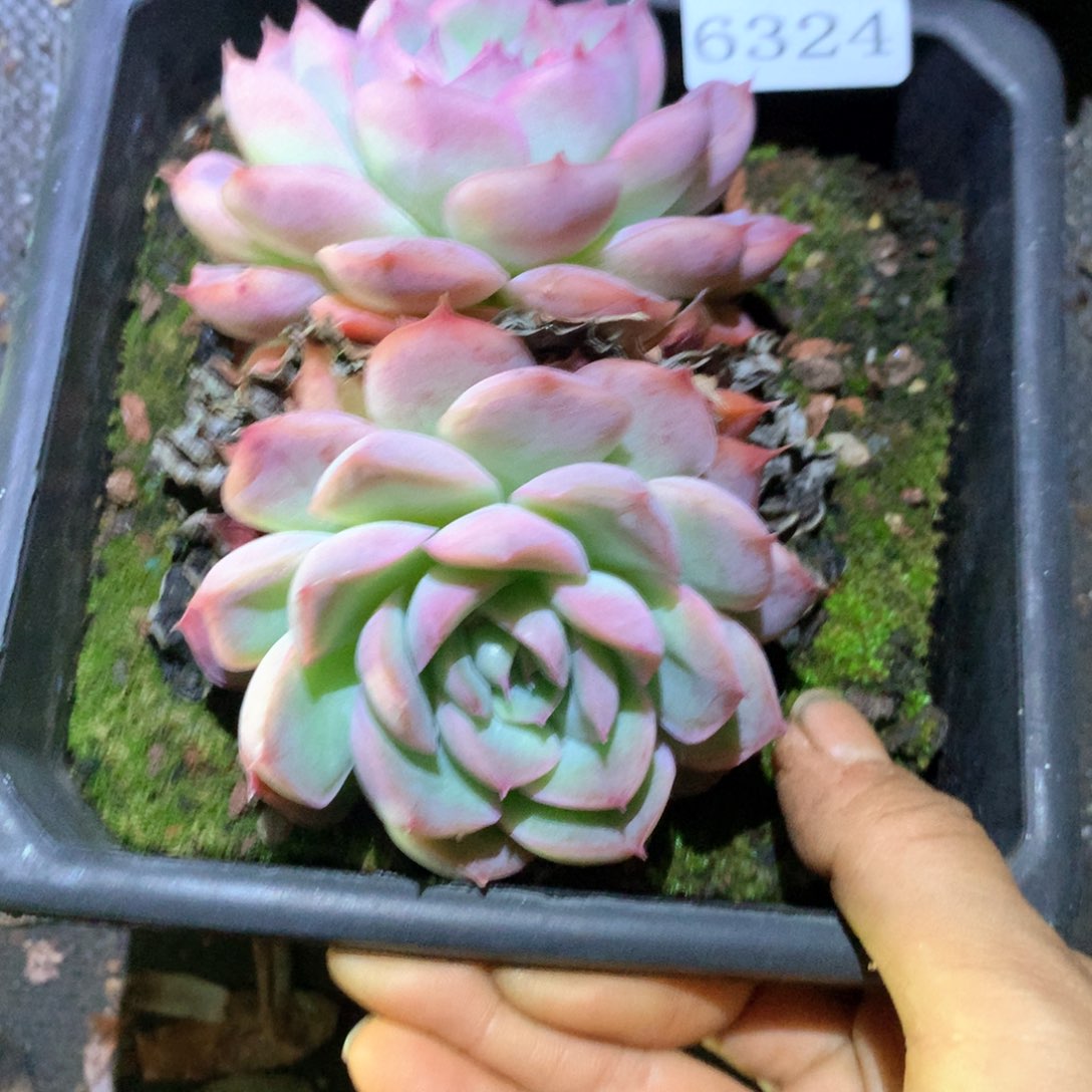 6324不包掉头整散