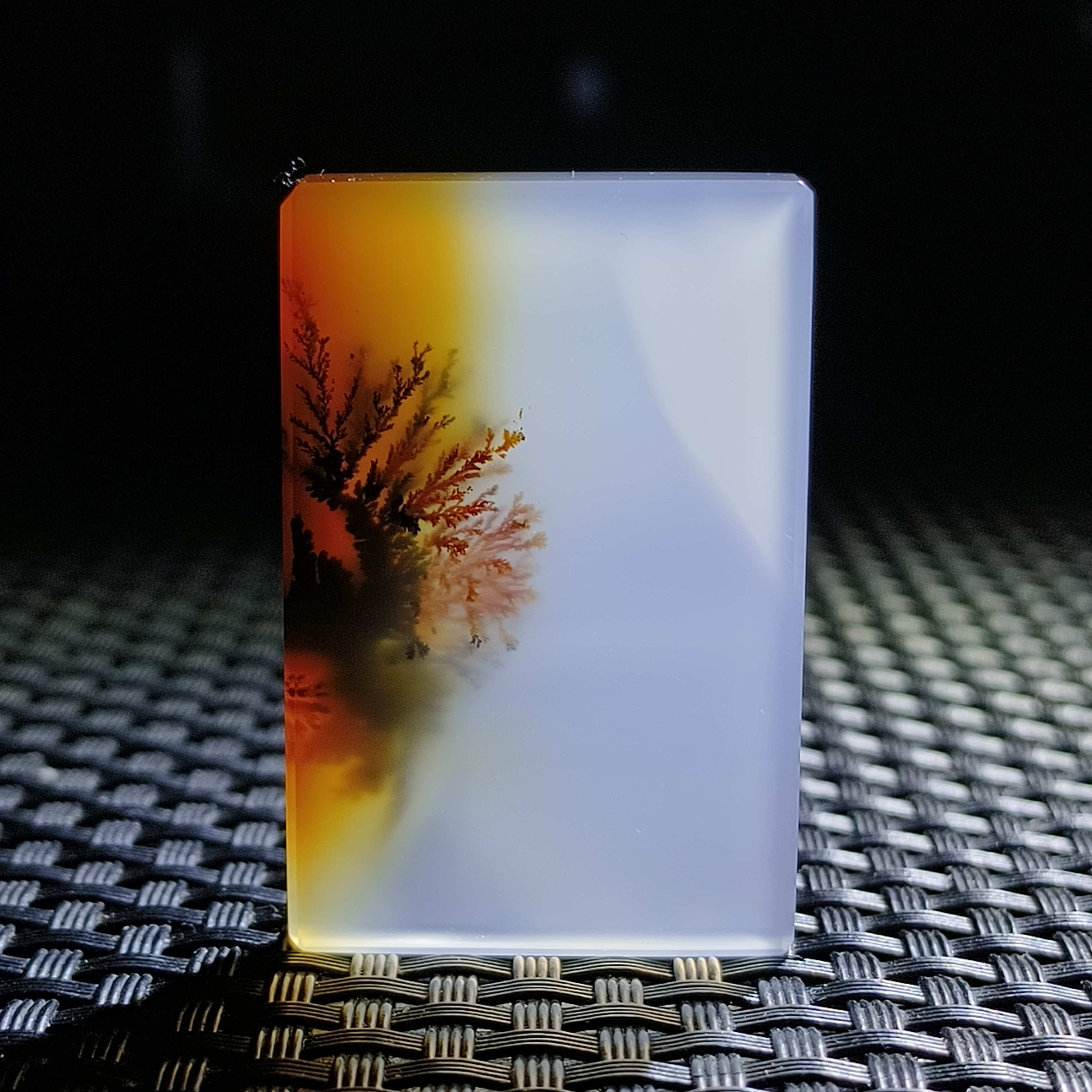 海洋玉髓玛瑙草花风景