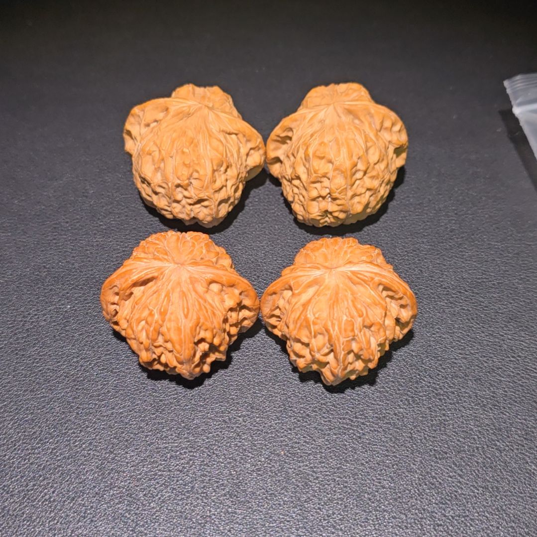 核桃哈哈哈哈哈哈哈哈哈哈哈