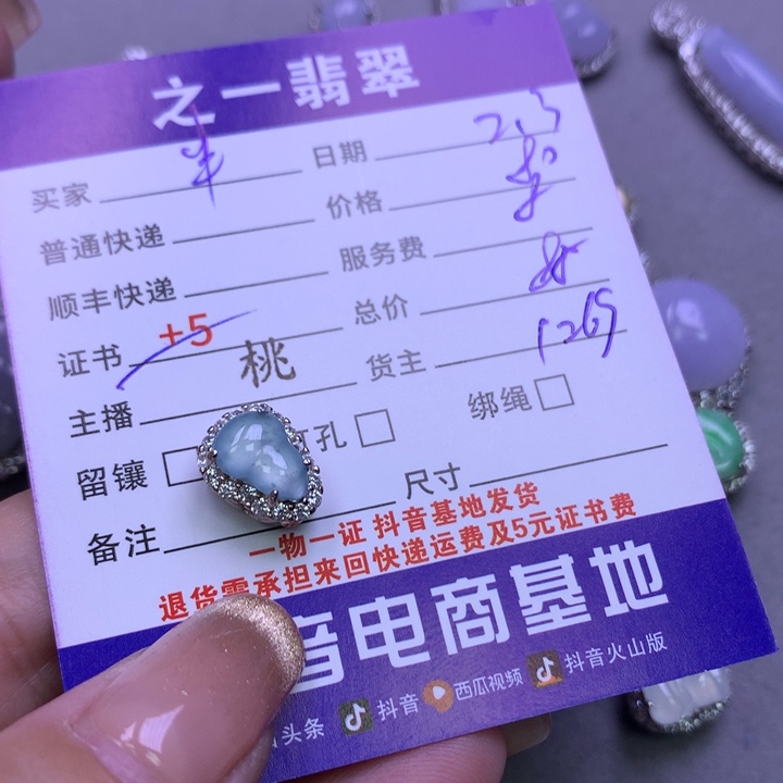 翡翠颈饰银S925镶嵌半**归