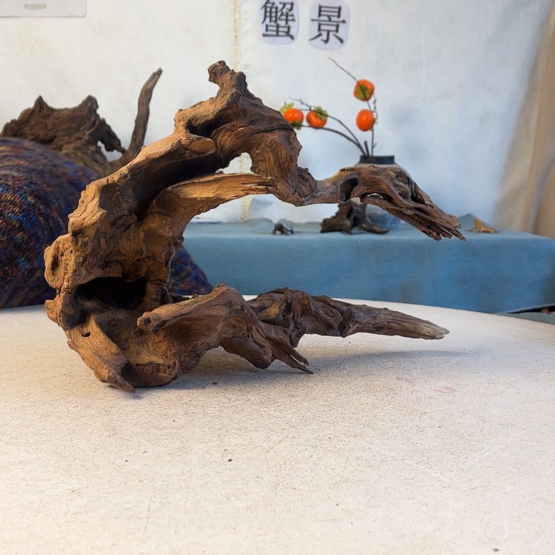 沉木造景爬宠造景