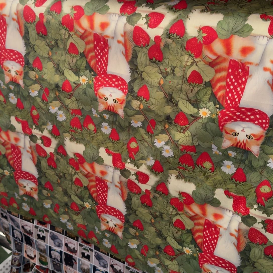 棉一米价1.1宽纯棉平布28