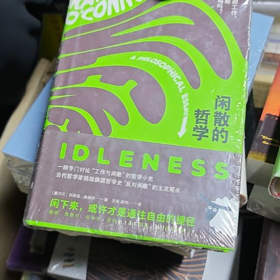 闲散的哲学平装库存书