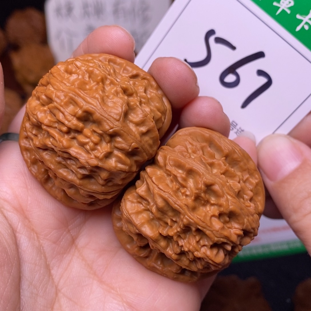 把件文玩核桃567闷尖球白狮子头4.2