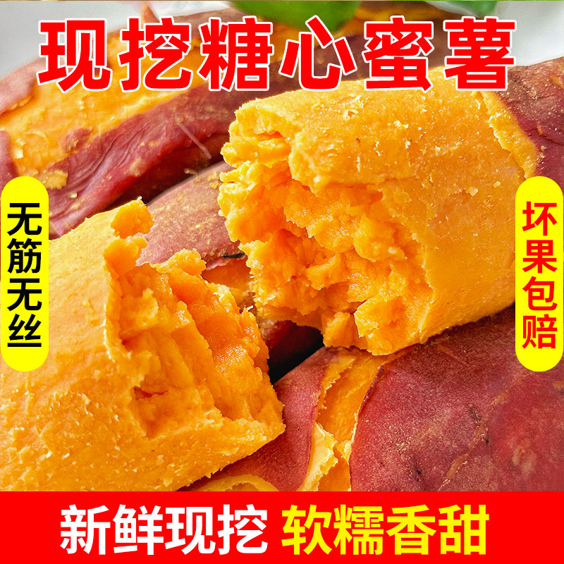 新鲜红心蜜薯糖心湛江西瓜红番薯农家自种沙地软糯地瓜现挖烤红薯