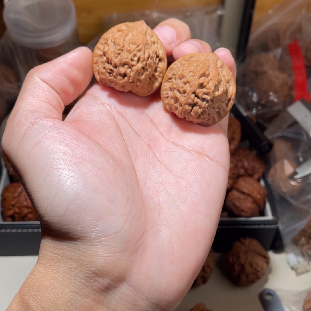 36尺寸全品无修龙公子