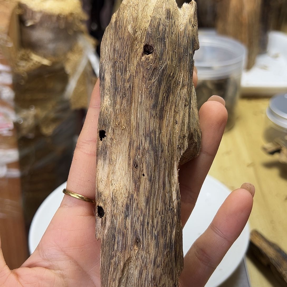 木绿奇楠虫漏原材料32克