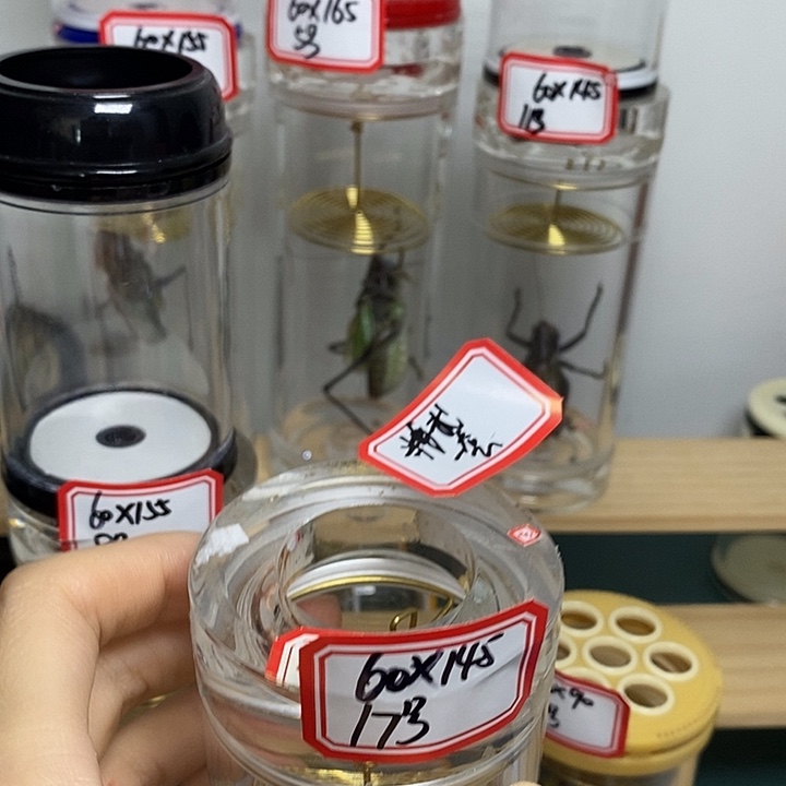 蝈蝈60-145一套精武