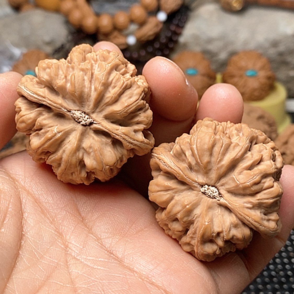 【闪购商品】文玩核桃把件长****的43粗筋