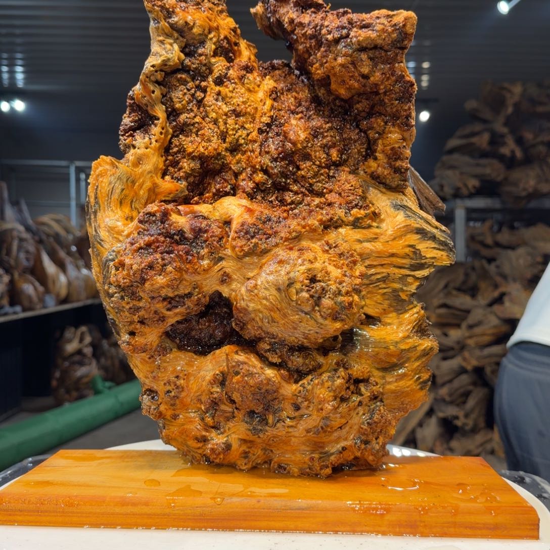 @***雨木王一刀琥珀木摆件29