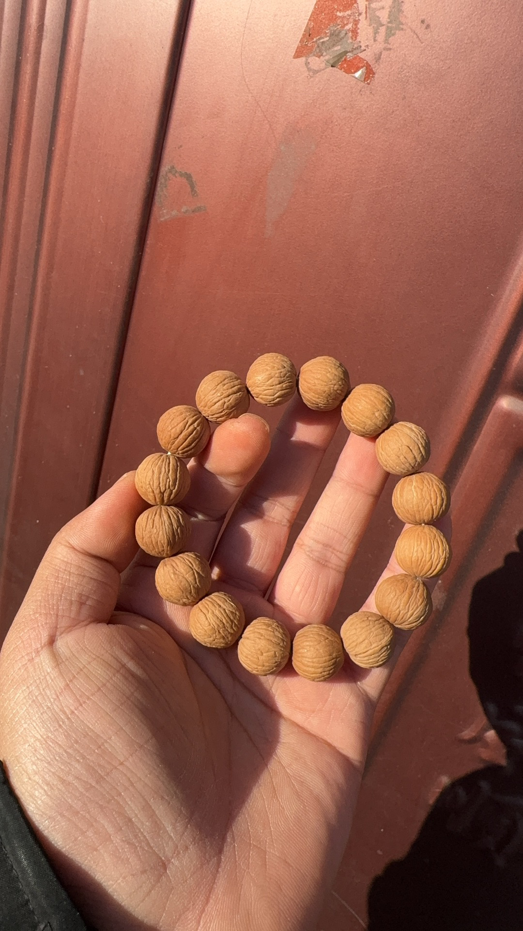 猴头核桃凤羽（拍前询问客服）