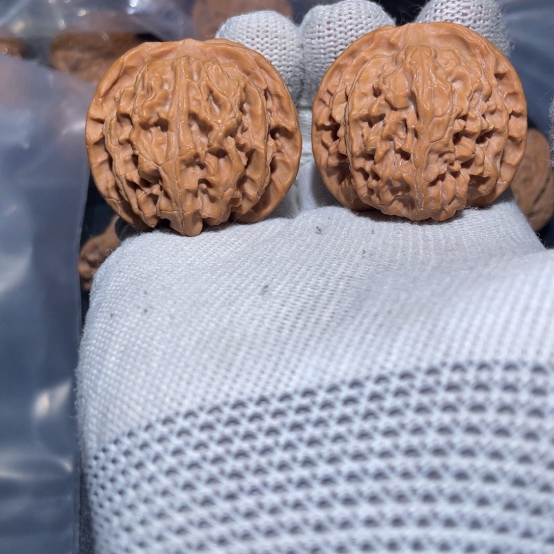 大叶紫檀（黑酸枝木类）全品苹果园