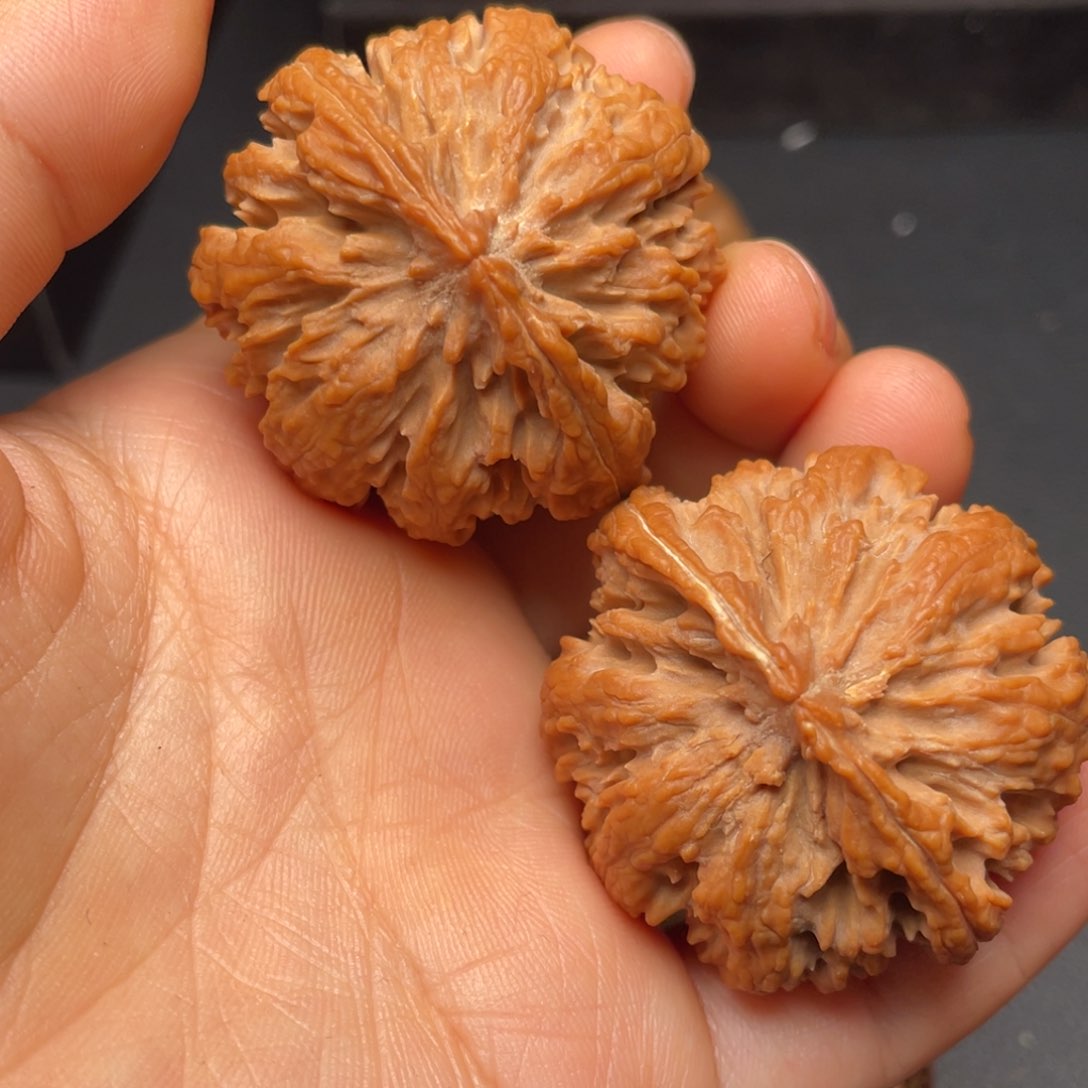 秦岭山脉文玩核桃