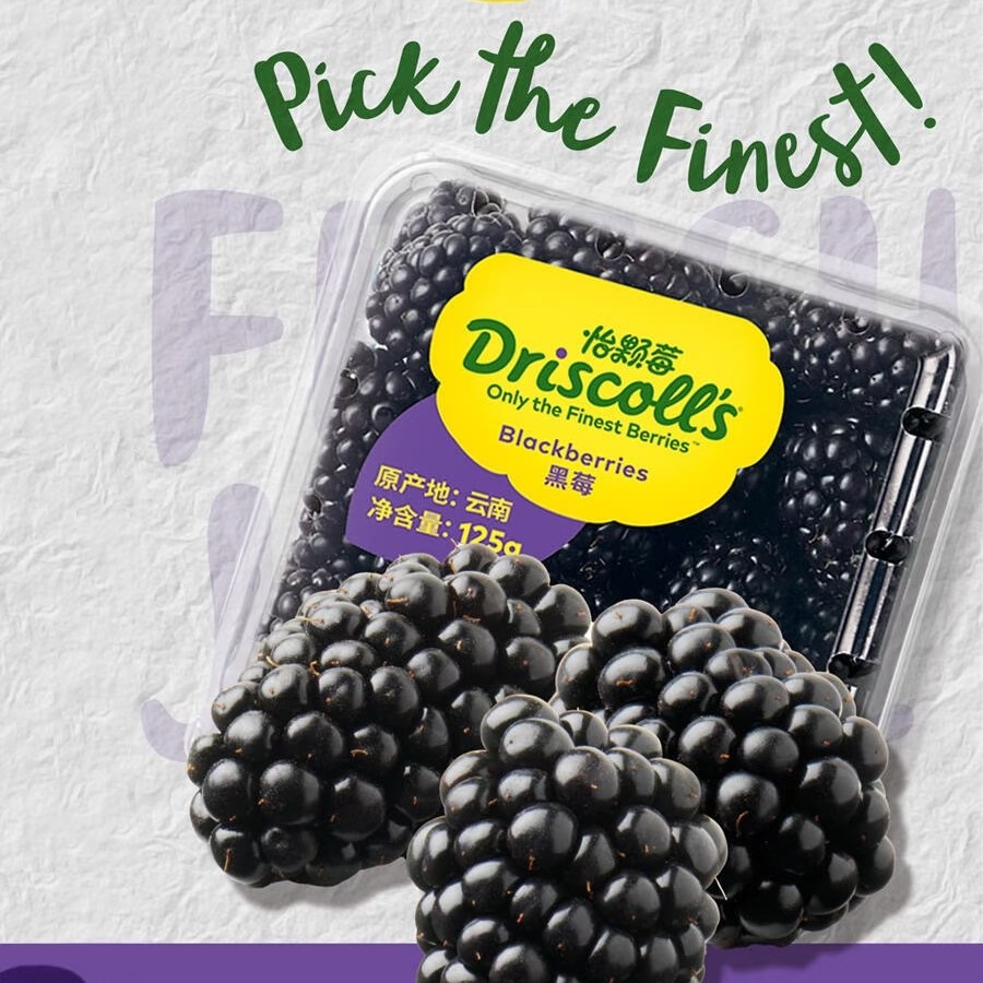 怡颗莓黑莓1盒125g