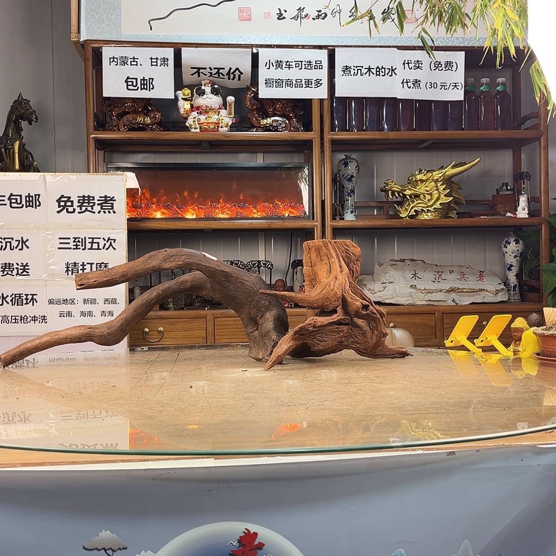 紫柚木，飘枝➕树桩紫砂