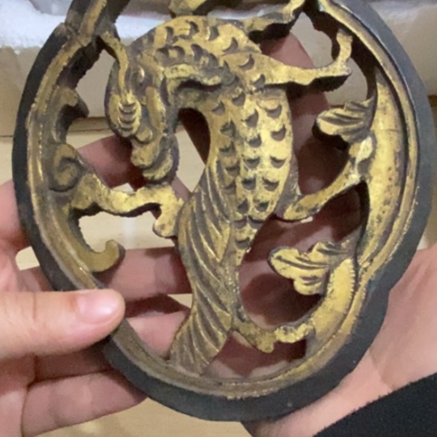 贝壳杉大*非物质文化遗产保护