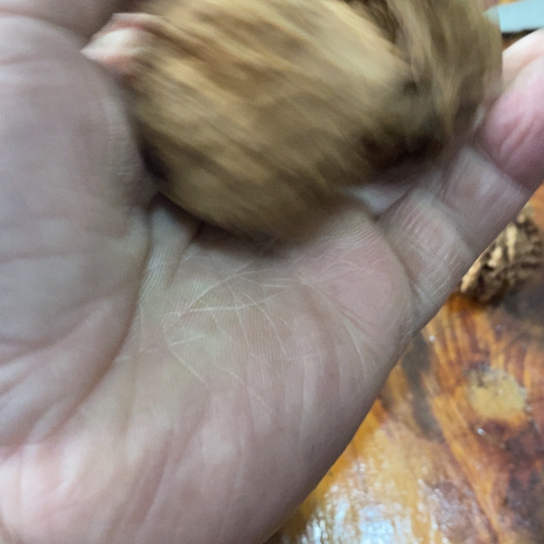 秦岭南侧和东北的一