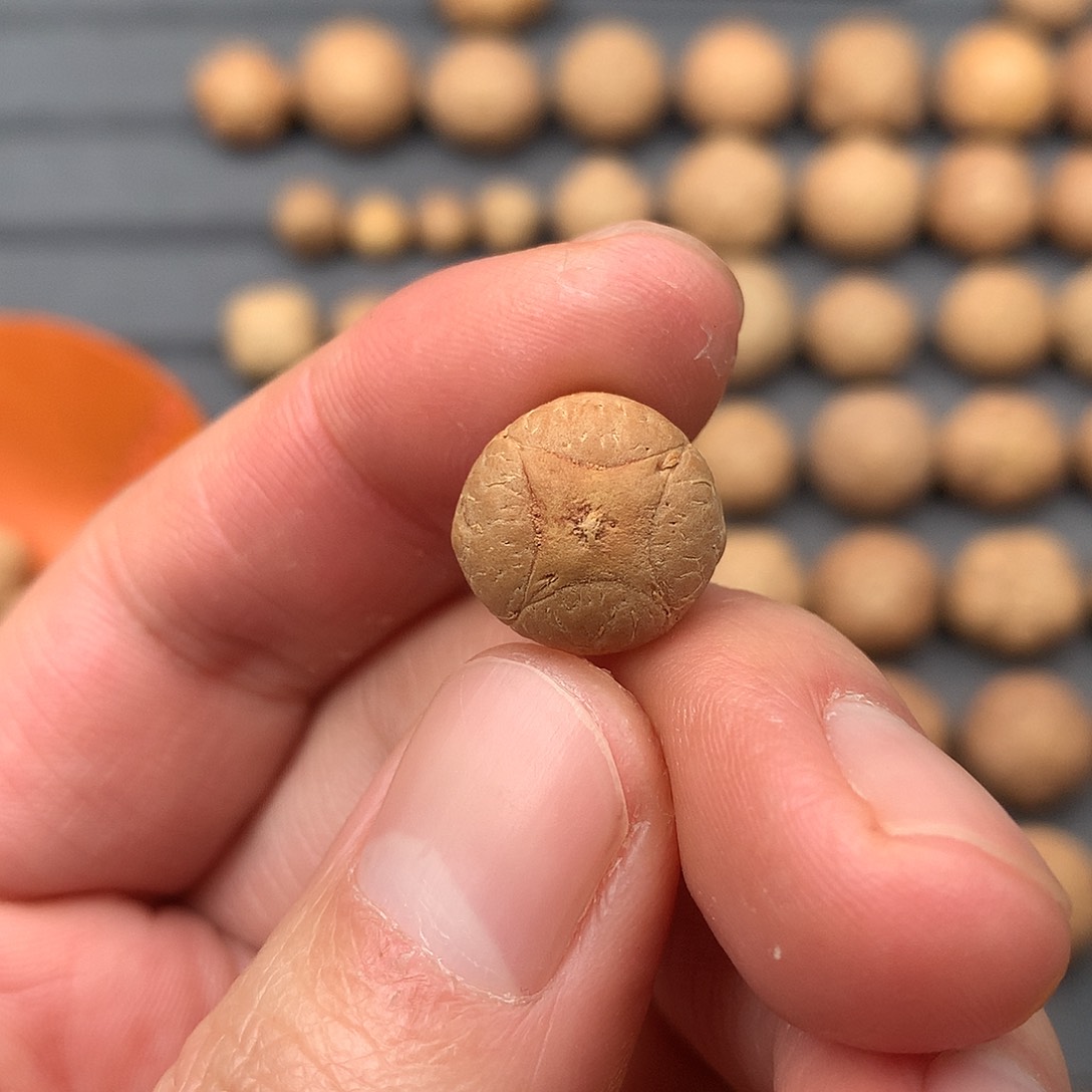 吊坠凤眼菩提僧***九15+麒麟。非质量问题开孔不退