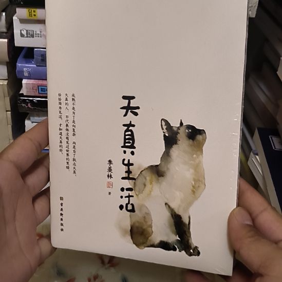 天真生活，全新塑封
